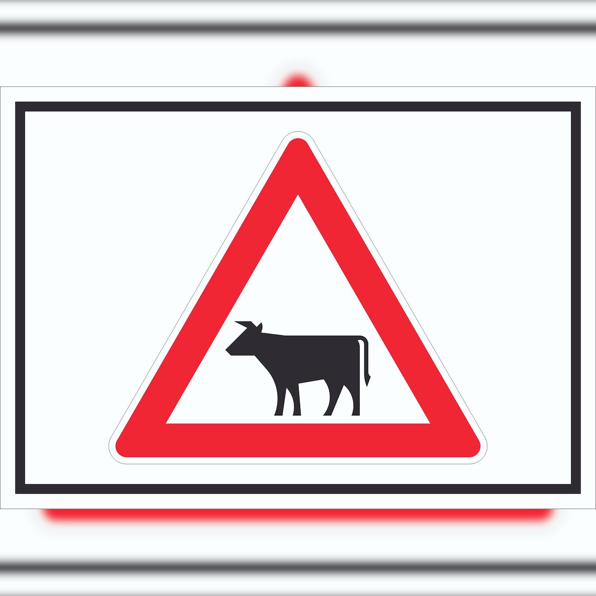 HB-Druck Schild Achtung Viehbetrieb Tiere Symbole A6 Rückseite selbstklebend Image
