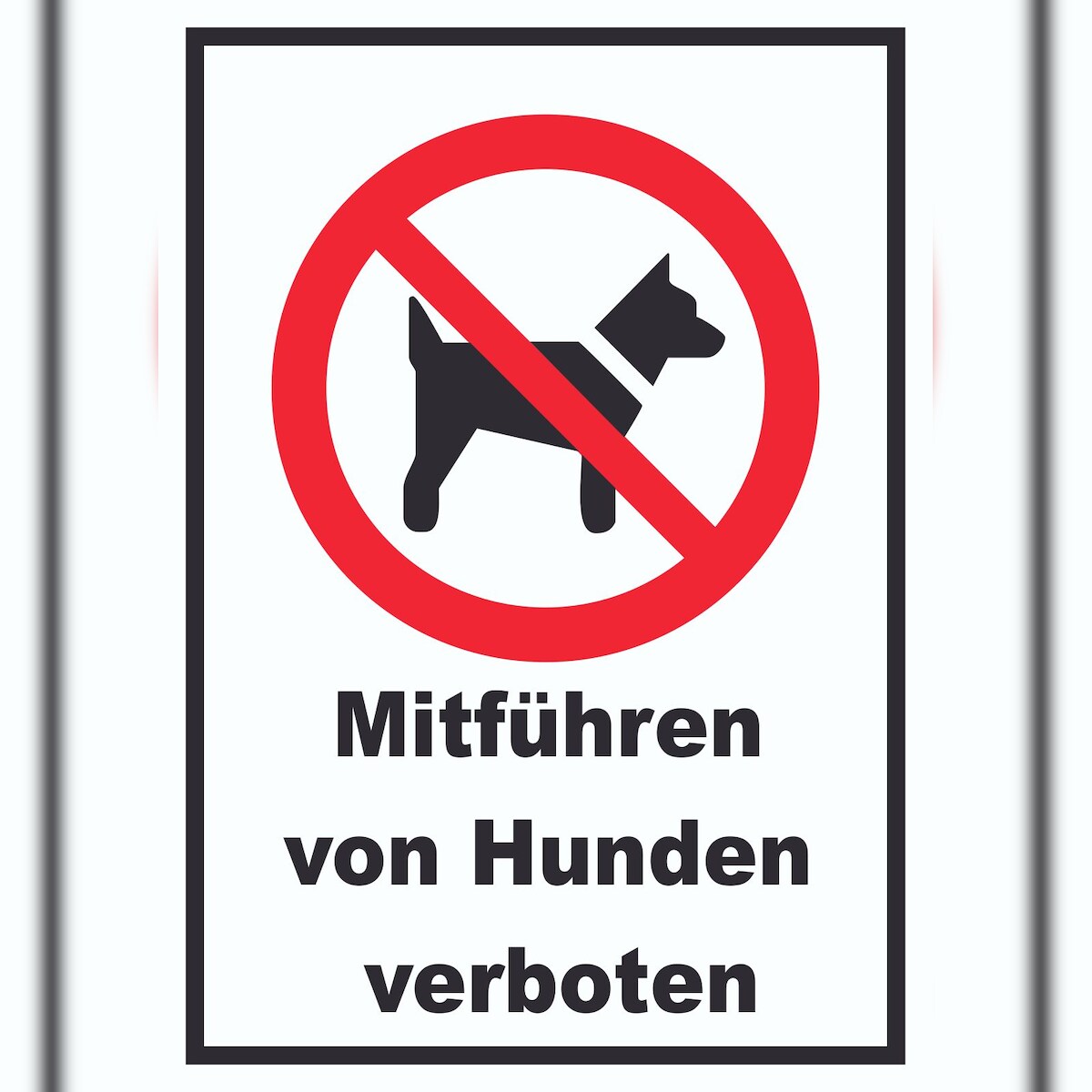 HB-Druck Mitführen von Hunden verboten Schild A4 Rückseite selbstklebend