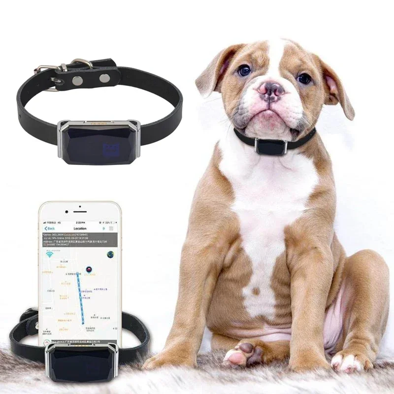 IP67 Wasserdicht Haustier Kragen Wifi Licht GPS Tracker Für Haustiere Hunde GPS Tracker Kinder Persönliche Locator Anti-Verloren Tracking gerät Image