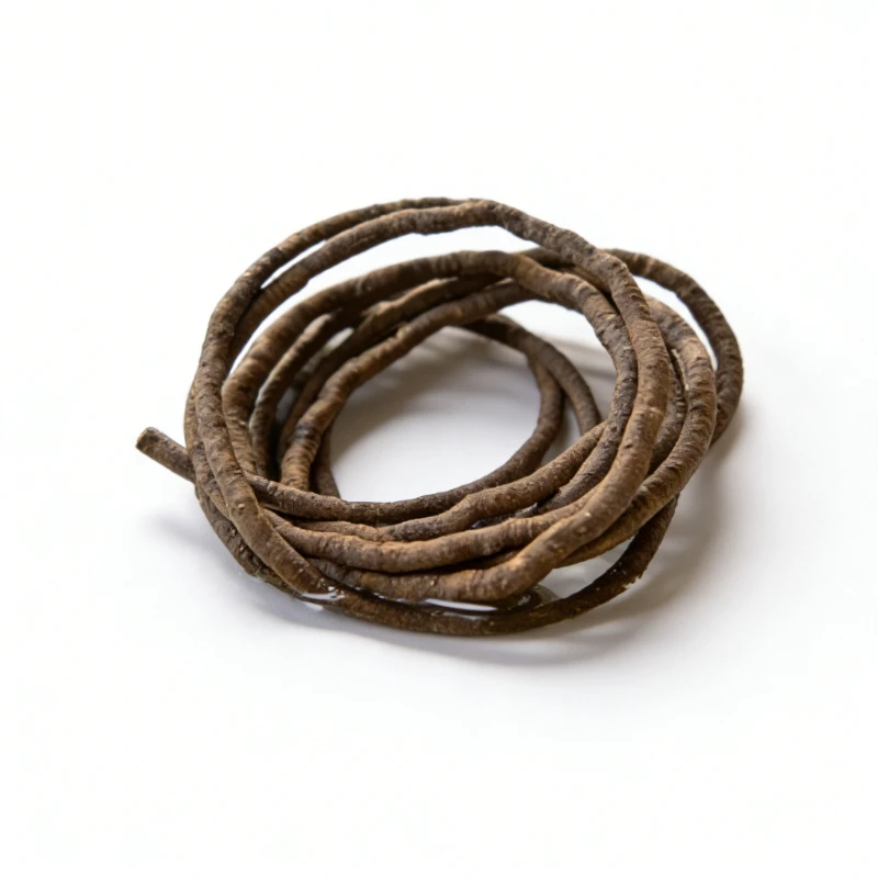 1M Künstliche Rattan-Pflanzen, flexible Kletterpflanzen für Reptilien, biegsame Dschungel-Kletterpflanzen für Eidechsen, Terrarium, Tierheim-Dekoration Image