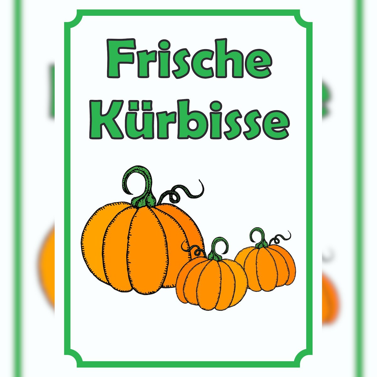 HB-Druck Verkaufsschild Schild Kürbis Hochkant A5 Rückseite selbstklebend Image