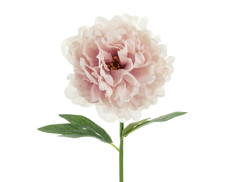 PartyDeco 24x Künstliche Blume - Pfingstrose, 35 cm, blassrosa Image