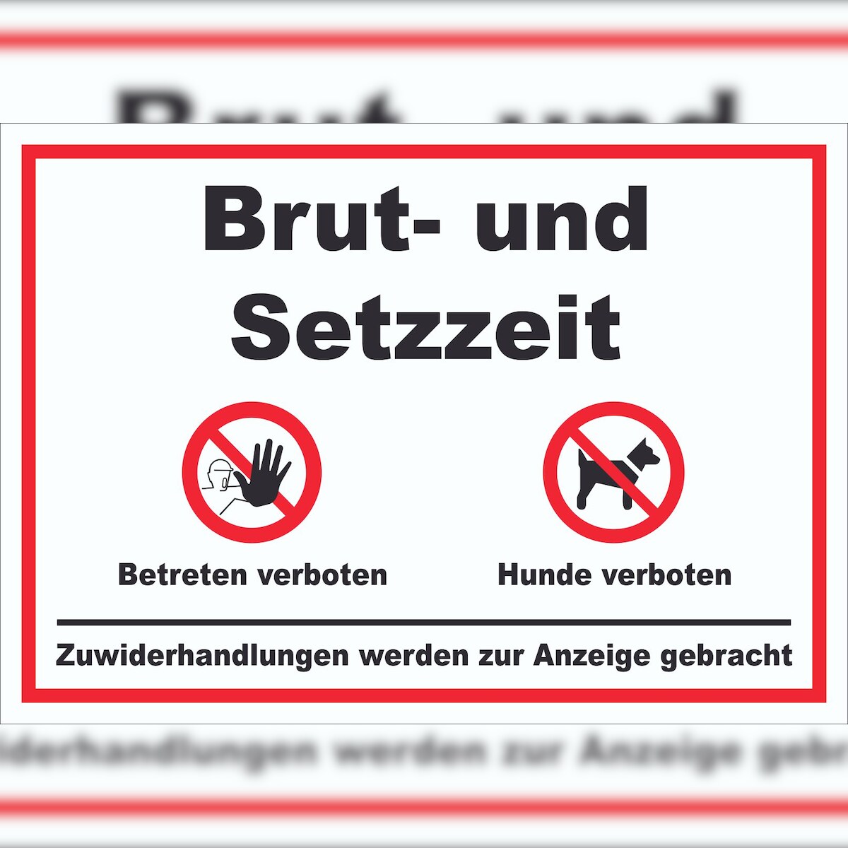 HB-Druck Brut- und Setzzeit Betreten verboten Hunde verboten Schild A3 Rückseite selbstklebend Image