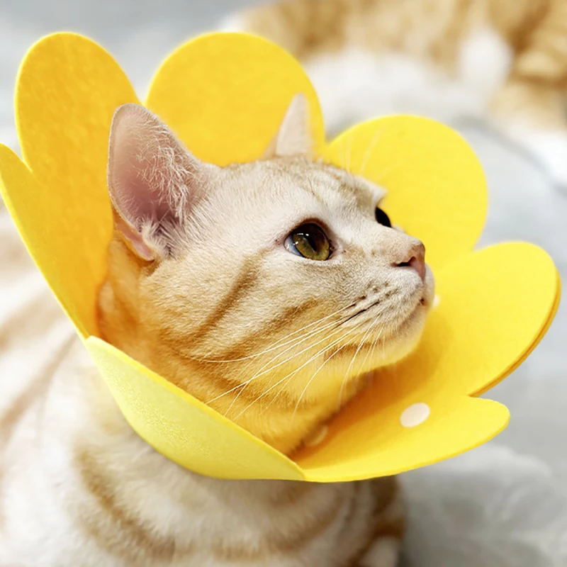 Haustier-Schutzhalsband, Hundehals, Kegel-Erholungskegel-Halsband für Anti-Biss-Leckchirurgie, Wundheilung, Gesundheit von Katzen und Hunden, medizinischer Kreis Image