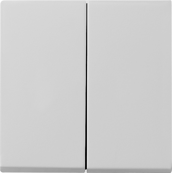 Gira Wippe 2-f. 0295015 Image