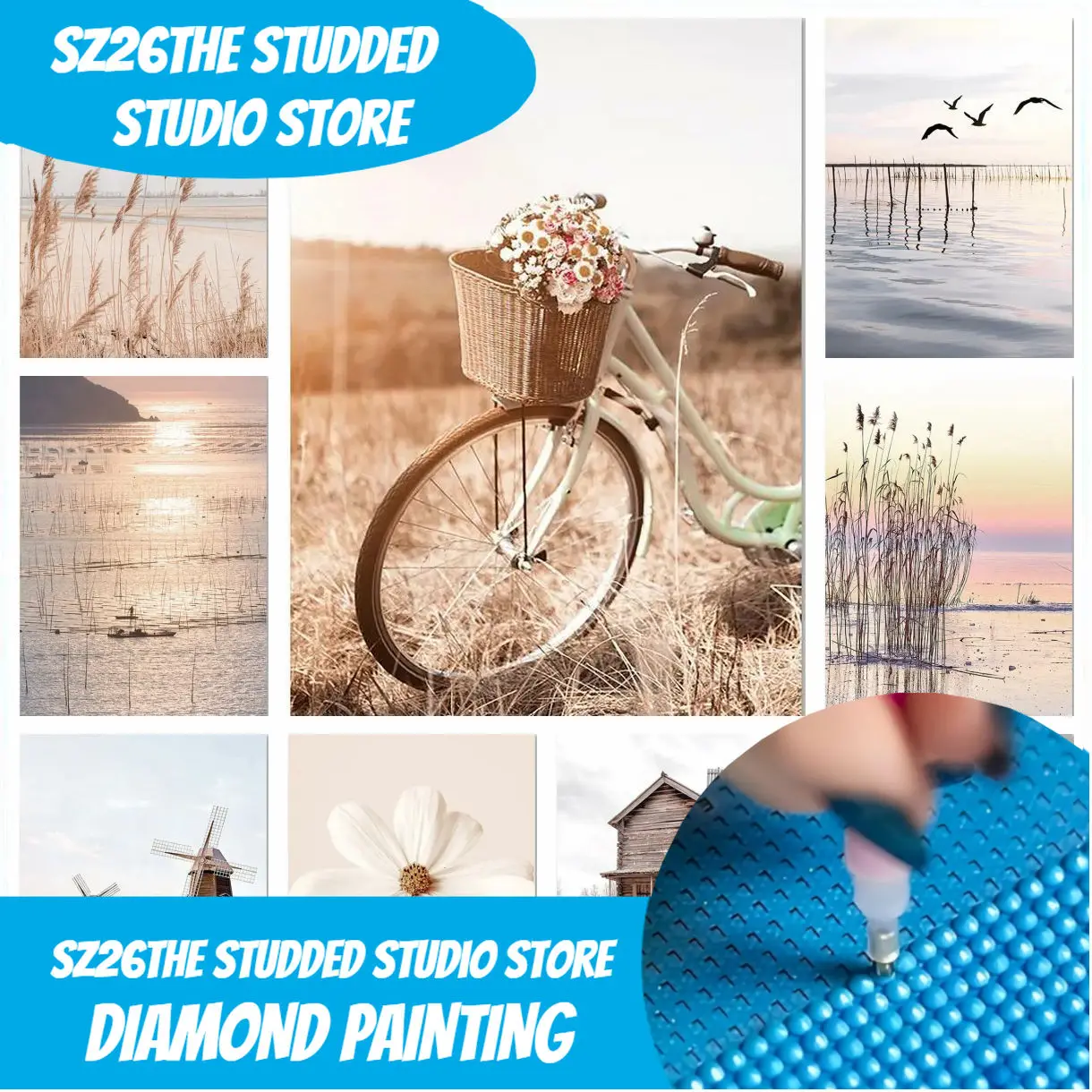 Sz26 Beige Landschafts-Wandbild mit Nieten 5D DIY Diamantmalerei Fahrrad Heißluftballon Orchidee Löwenzahn Nordische Drucke fürs Schlafzimmer