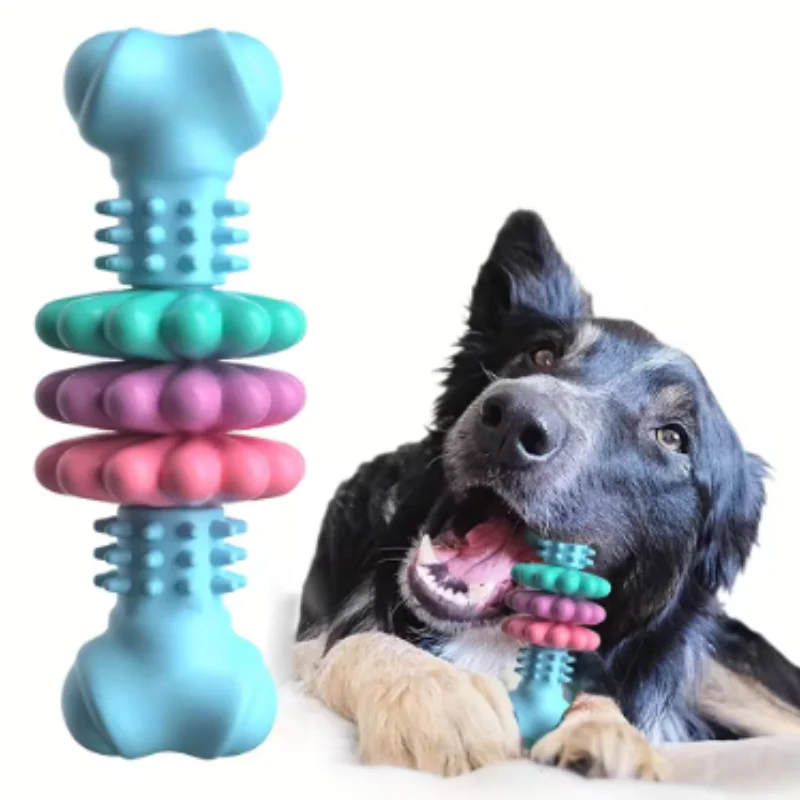 TPR Multi-Fleisch-Hundekauknochen-Spielzeug-Set – Bissfeste Zahn- und Zahnungsspielzeuge für Welpen – Fleischige Hundeknochen-Vorräte Image