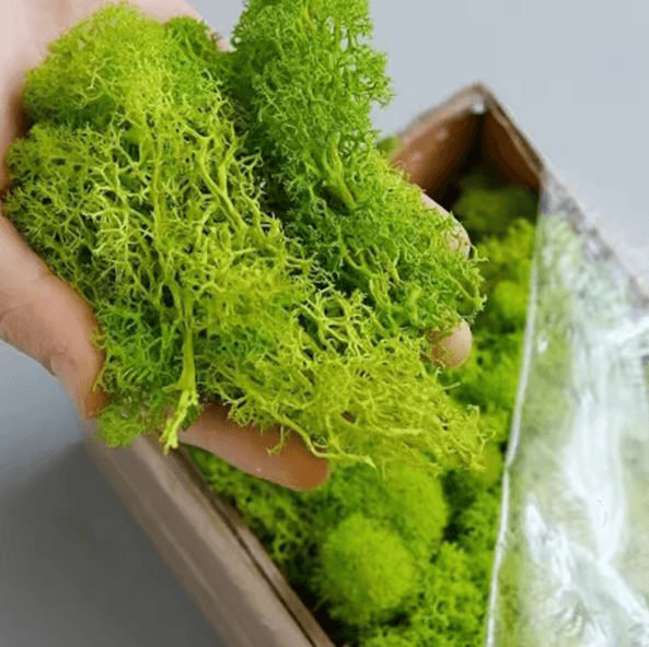 Artificial Moss Grass Realistic Mini Landscape Moss For DIY Crafts, Home & Garden Decor yellow 200gram