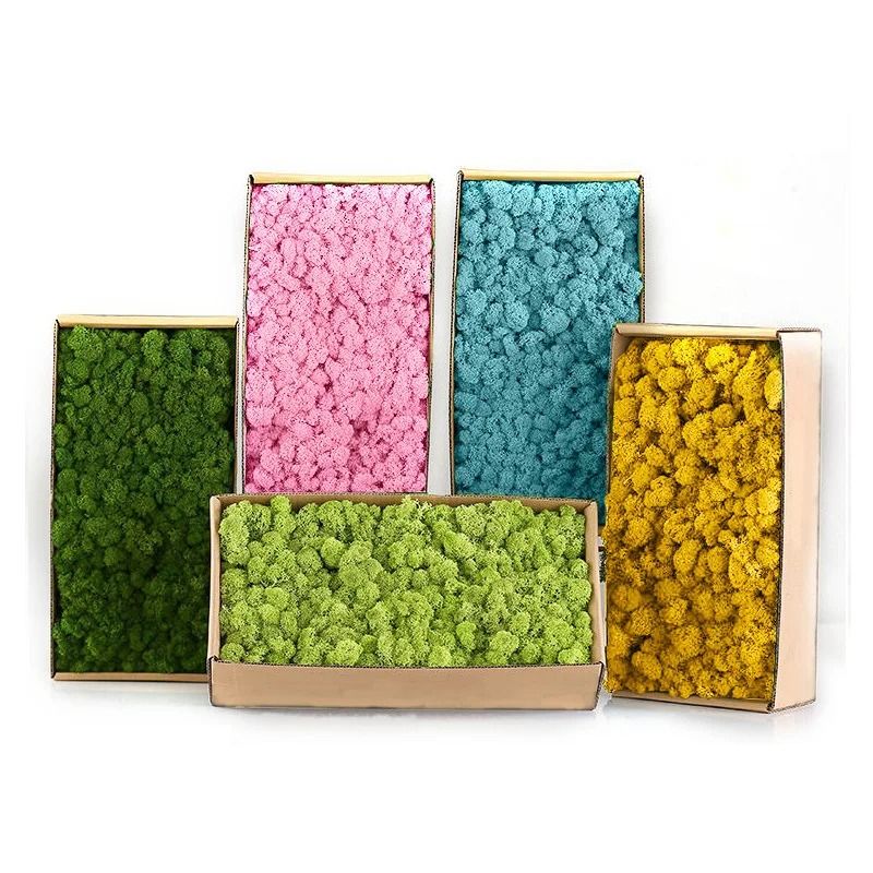 Artificial Eternal Moss Grass | Mini Landscape Greenery | Realistic DIY Craft Moss For Home & Garden black 500 G