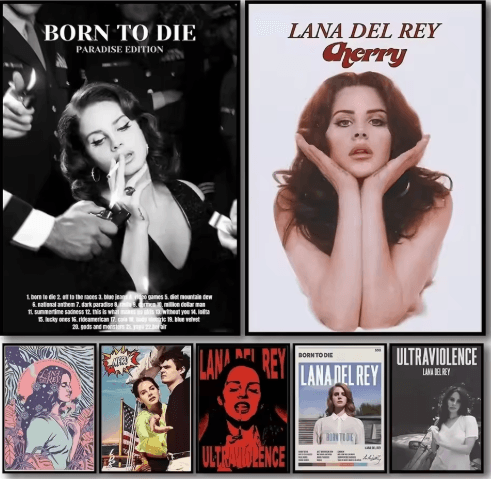 Lana Del Rey Aesthetic Poster Album Cover Canvas Wall Art 7 50x70cm No Frame
