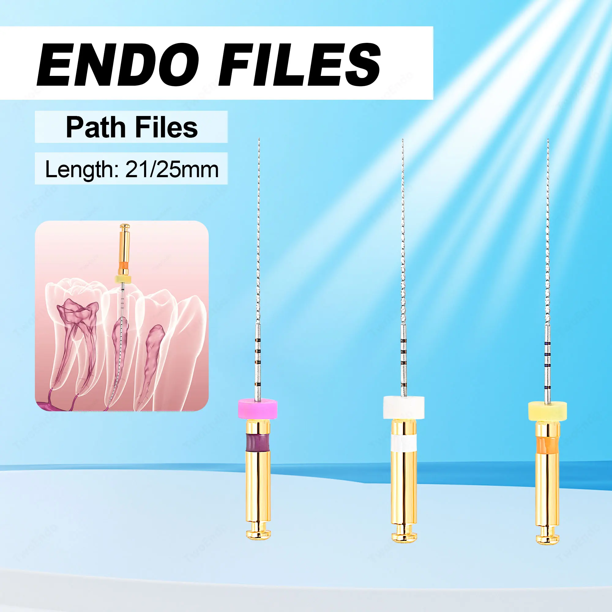 Dentalinstrumente: Endodontische Rotationsfeilen, Dental-Endomotorfeilen, Instrumentenfeilen für den Endodontie-Bereich, Zahnmedizin Image