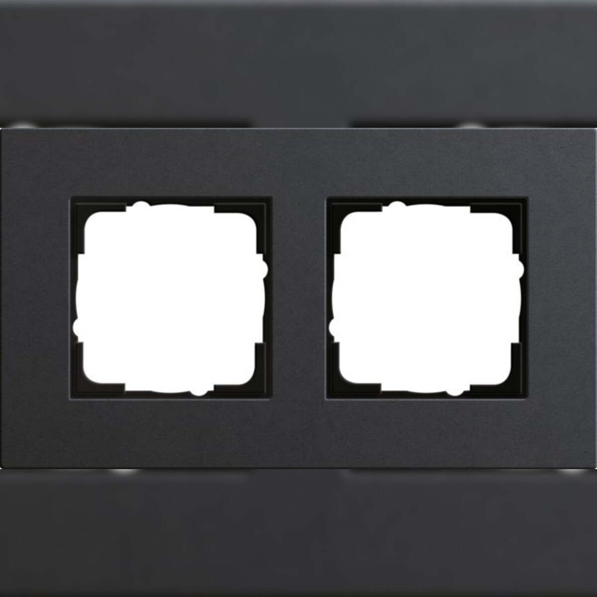 Gira Abdeckrahmen 2fach 0212226 Image