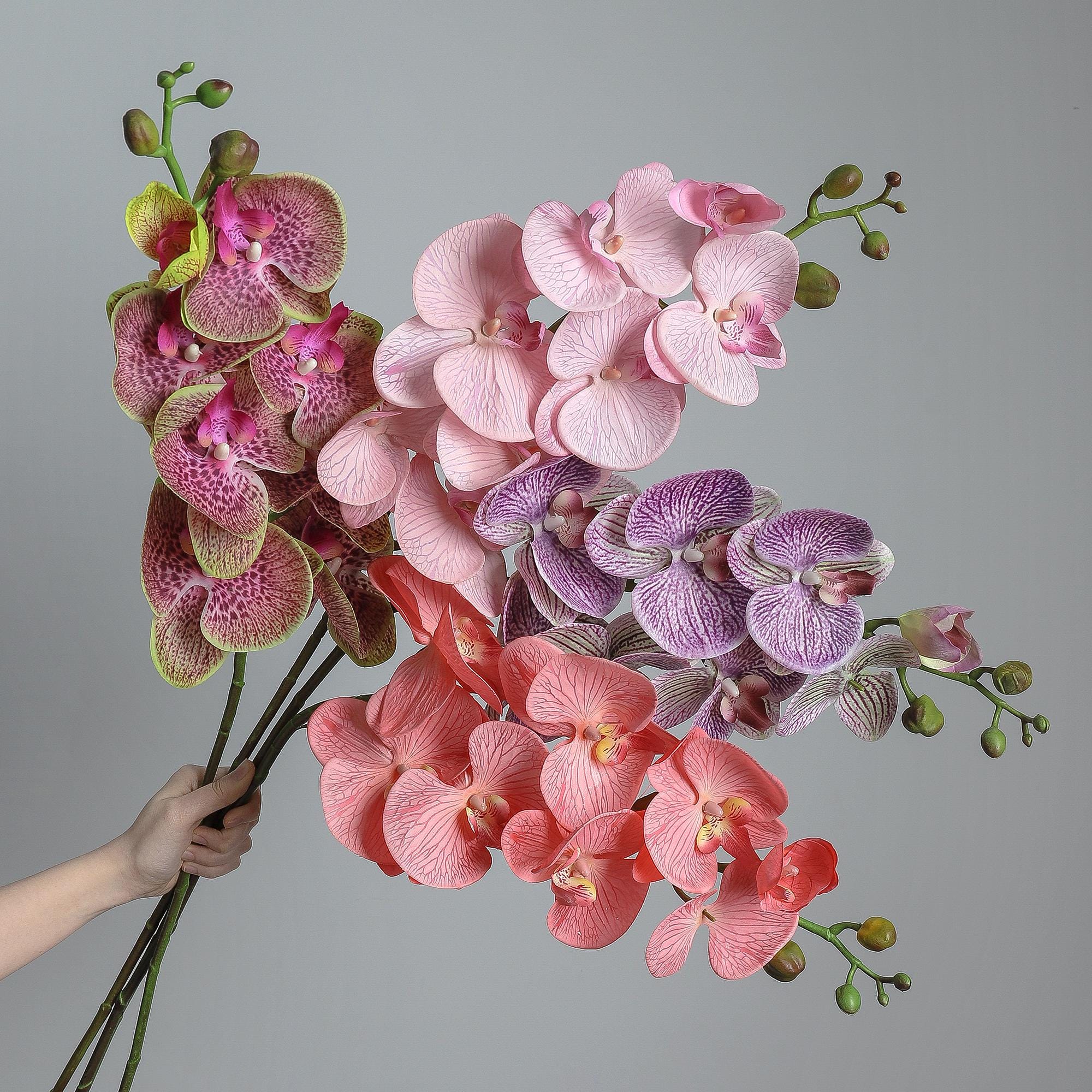 "Stelo di orchidea \"Real Touch\" per vaso, fiore di Phalaenopsis artificiale, elegante decorazione per la casa, composizione floreale minimalista, regal"