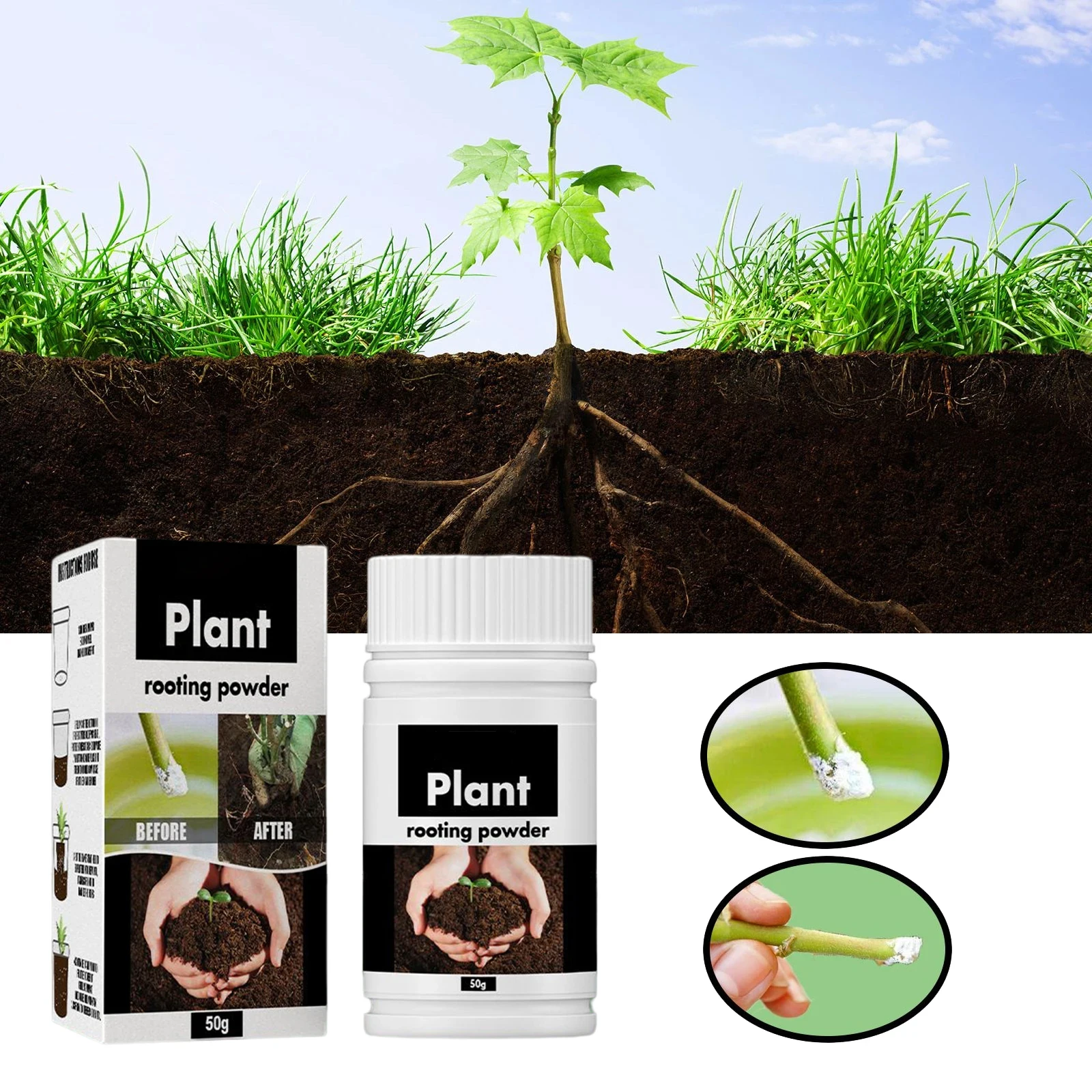 Seltenes Pflanzenwurzelpulver, Pflanzenfrucht, Blumen, schnelles Verwurzeln, Ernährung, Hydrokultur, Gartenernährung, Pflanzenwachstum, Wurzelpulver Image