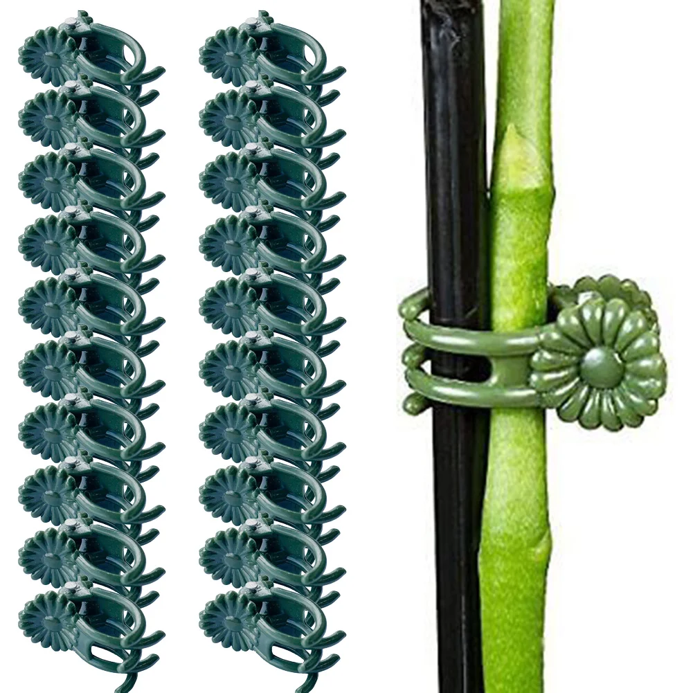 20 stücke Garten Pflanze Clips Schmetterling Orchidee Clips Anlage Unterstützung Stem Klemmen Garten Blume Reben Anlage Unterstützung Garten Werkzeuge