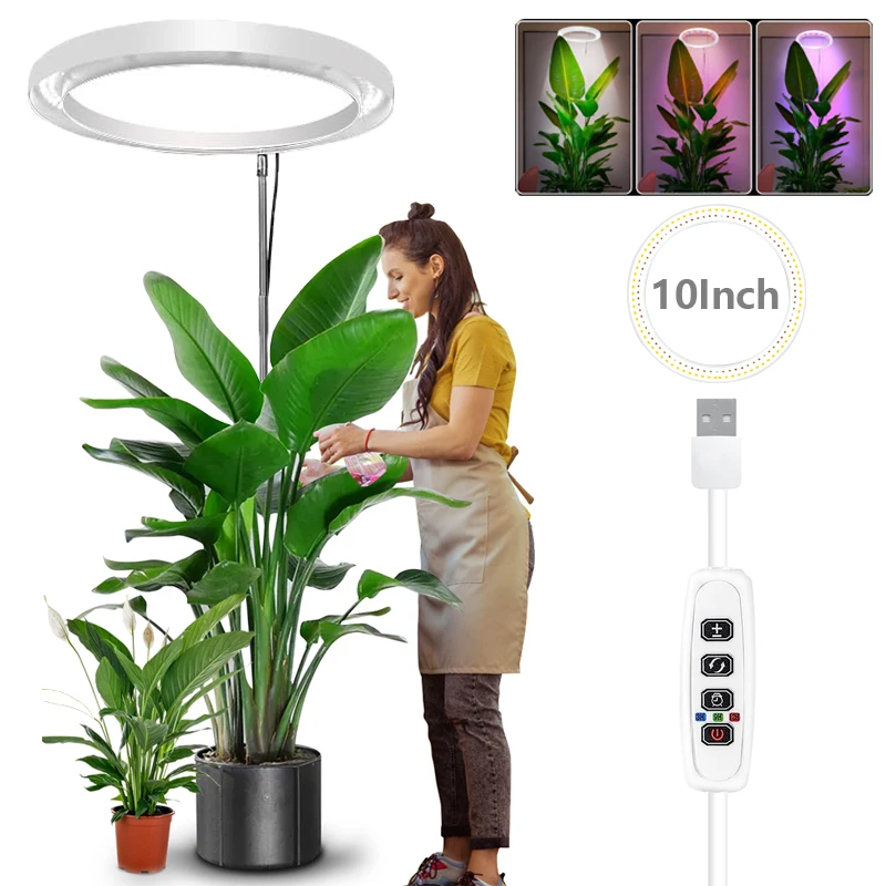 Pflanzenwachstumslicht für Zimmerpflanzen, volles Spektrum, LED-Wachstumslicht, 25,4 cm, Pflanzenlampe, höhenverstellbar, mit Timer für große Pflanzen
