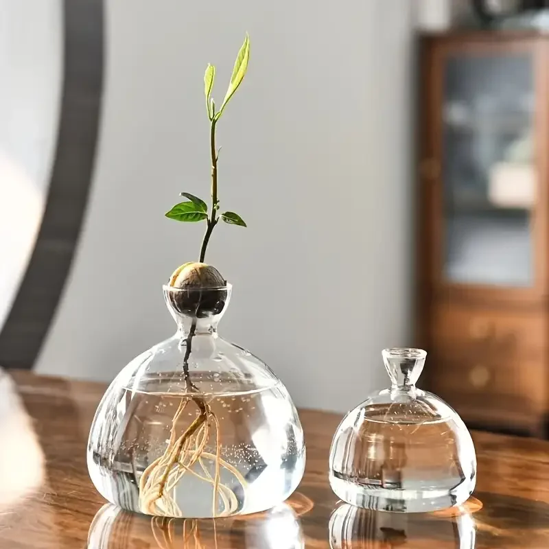 Avocado-Vase wachsen Glasbirne Vasen Eichelsamen Starter Vase Avocados Pit Pflanzgefäß Topf für Gartenliebhaber Indoor Hydrokultur Image