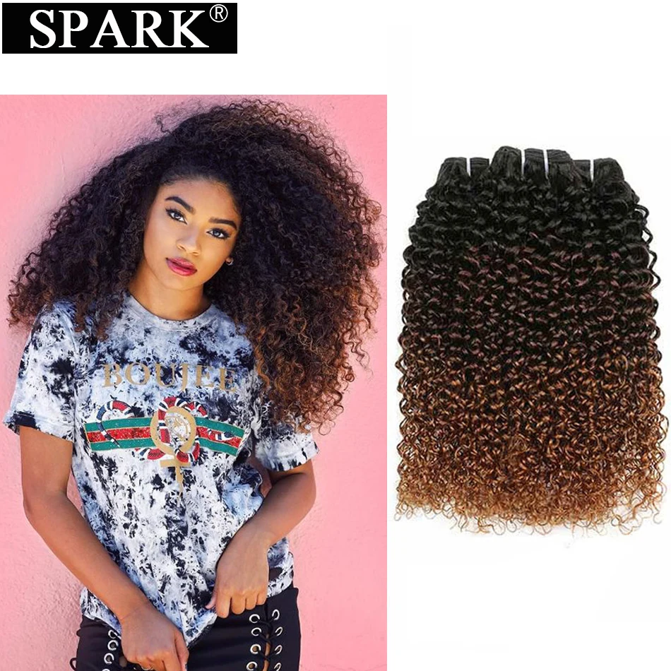 Spark Echthaar Afro Kinky Curly Ombre 100% Remy Echthaar-Extensions Brasilianische Haarverlängerungen 1/3/4 Bündel-Angebote Image