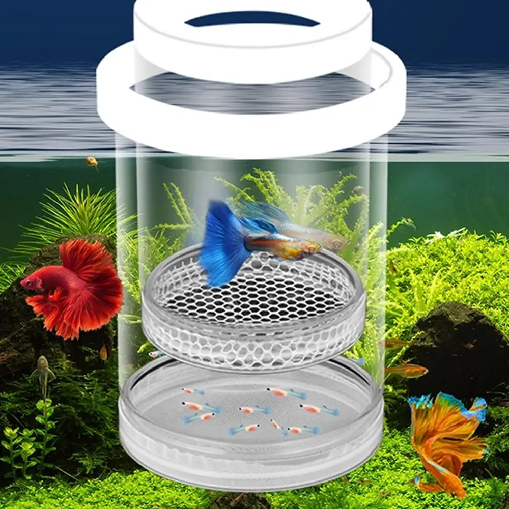 Kunststoff Schwimmenden Fisch Zucht Isolation Box Für Guppy Fisch Zucht Isolation Box Aquarium Brüterei Zubehör O8d3 Image
