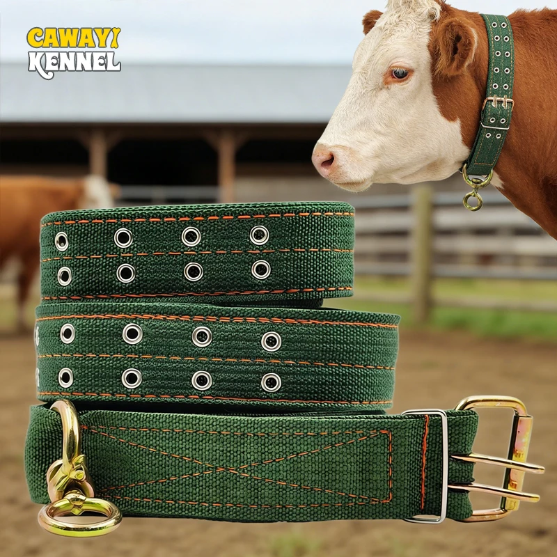 Starke, langlebige Sicherungskrawatte, verstellbares Rinderhalsband, Kuh-Transporthalsband, Viehfütterung, Versorgung, Segeltuchgürtel, Veterinärausrüstung Image