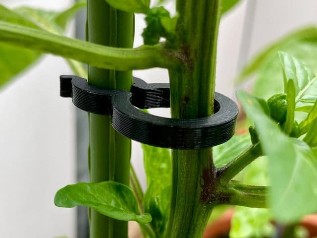 Set di 5 clip per piante / clip da giardino / clip di supporto per piante / clip per verdure / clip per fiori / clip per viti / clip per steli / porta