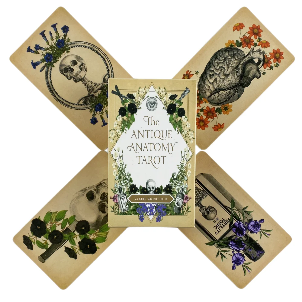 Die antiken Anatomie Tarot karten ein 78 Deck Orakel Englisch Visionen Weissagung Edition Borad spielen