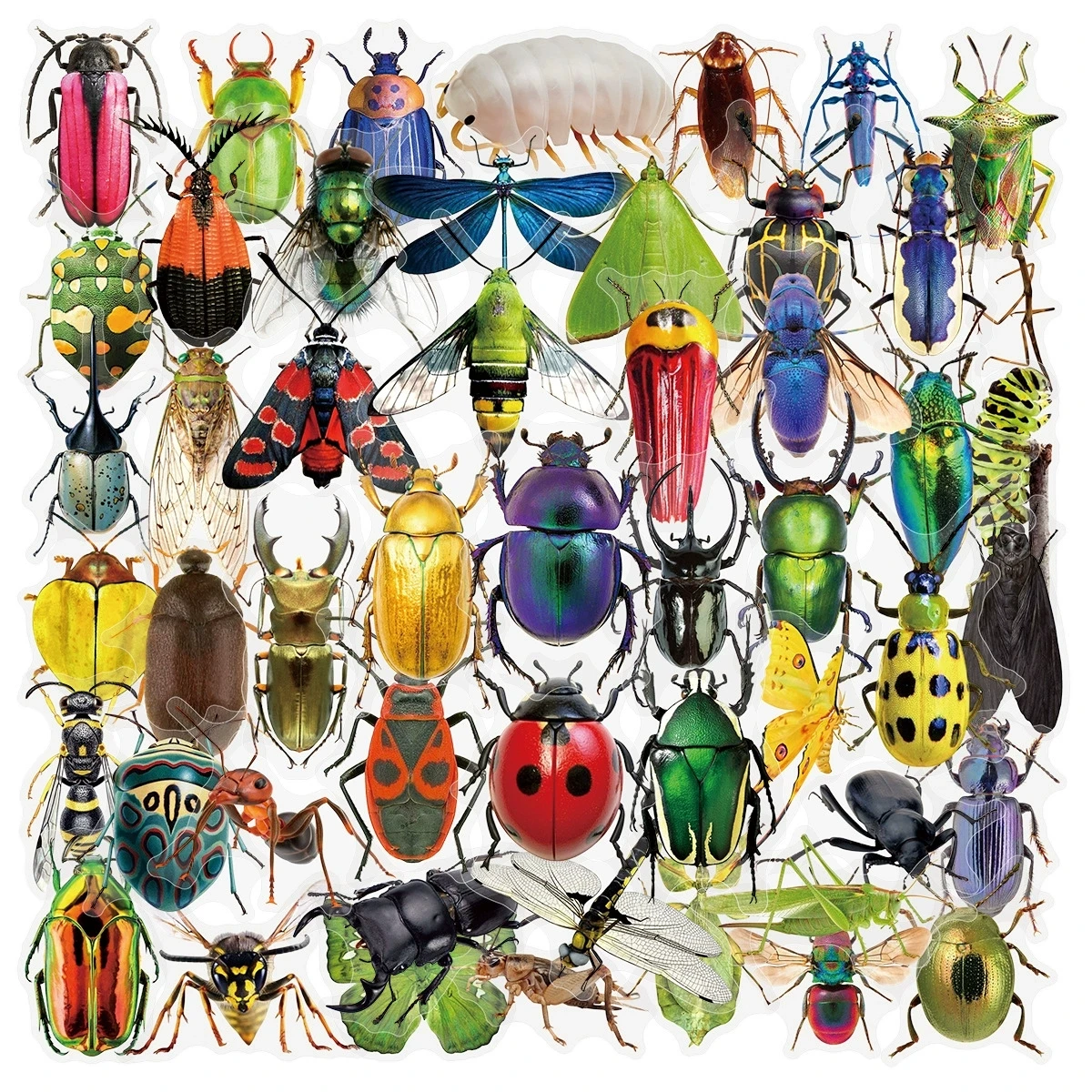 50/100PCS Transparent PET Tier Schreibwaren Aufkleber Cartoon Kreative Insekt Muster DIY Notebook Belohnung Aufkleber Image