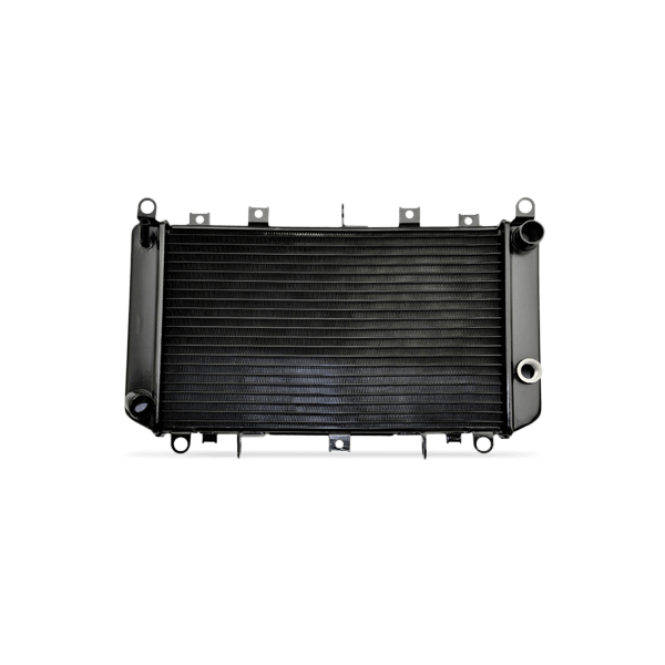 HELLA Kühler, Motorkühlung FIAT 8MK 366 305-031 1398450080 Kühler,Wasserkühler,Autokühler,Motorkühler Image