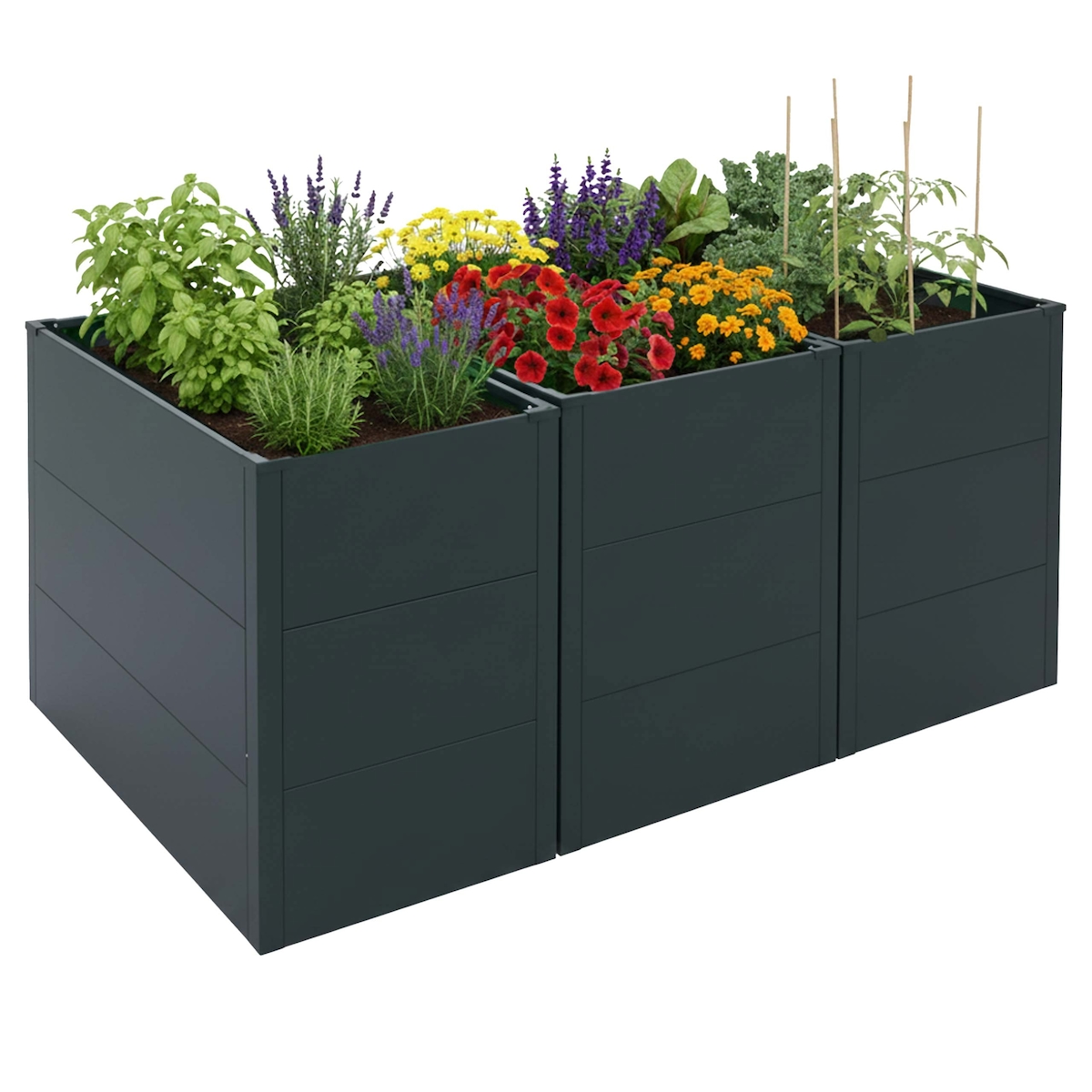 PROREGAL 3er-Set Hochbeet | HxBxT 77x150x100cm | Metallhochbeet Gemüse-/Pflanzbeet | Grün | Blumenkasten Pflanzkübel Stahl Image