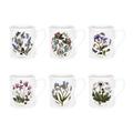 Portmeirion Botanic Garden - 9oz Breakfast Mug - Set of 6,6 Count (Pack of 1)