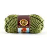 Lion Brand Yarn Hometown USA Oklahoma City Green 135-172 Classic Bulky Yarn