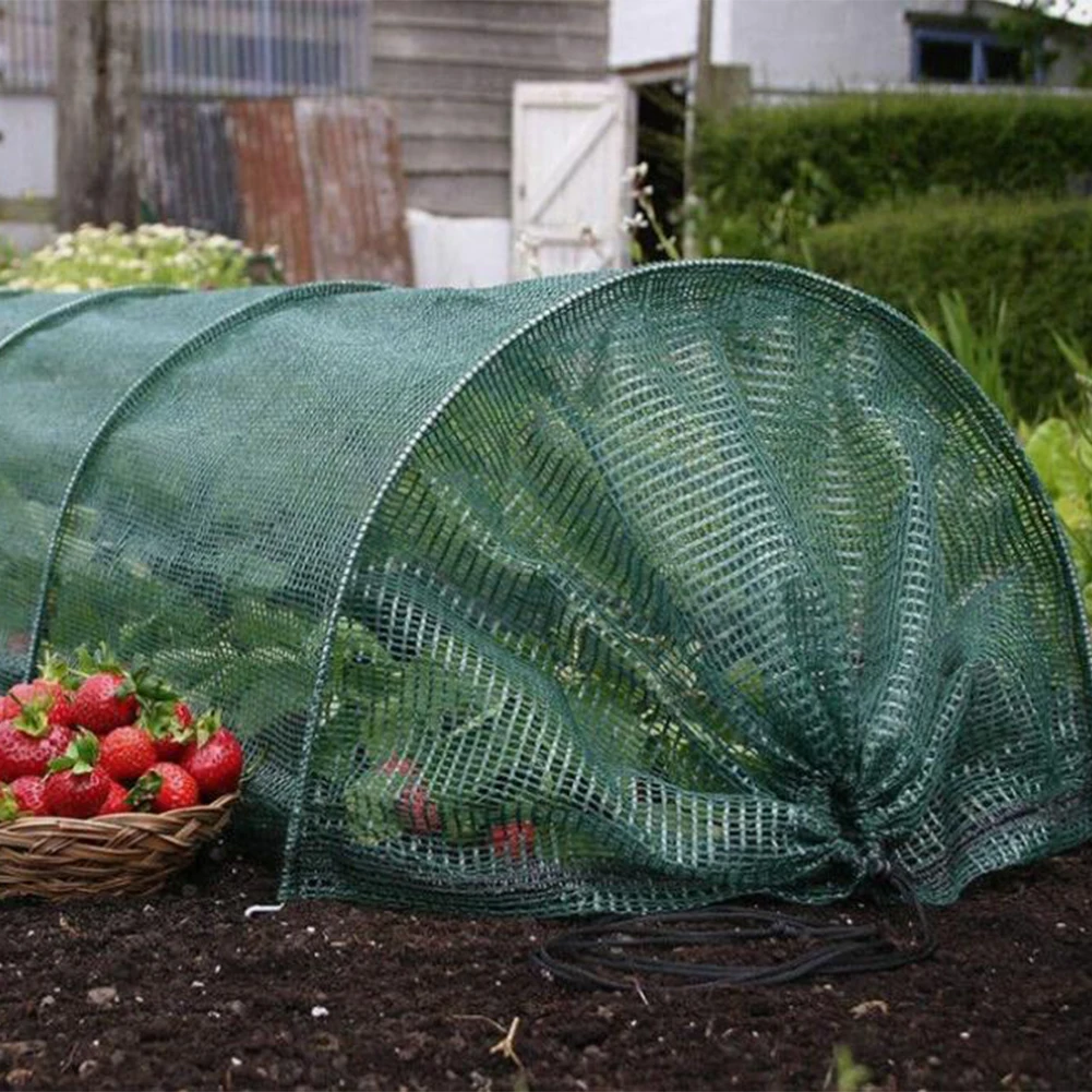 3 Meter Pflanzung Tunnel Net Transparente Kunststoff Film Landwirtschaft Pflanzung Tunnel Mesh Garten Pflanzen Schutz Abdeckung Liefert Image