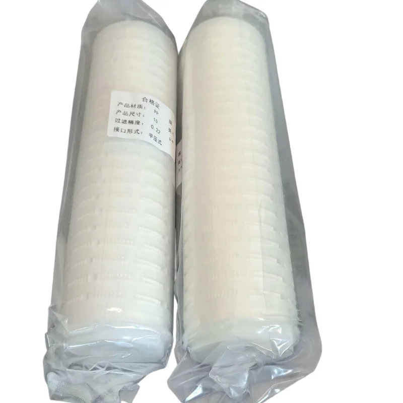 2 Stück 10-Zoll-Wasserfilter mit 0,22 Mikron Filtergenauigkeit und flachem Boden / PP-Filter für Weinschränke