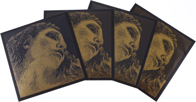Pirastro Evah Pirazzi Gold G-Gold BE