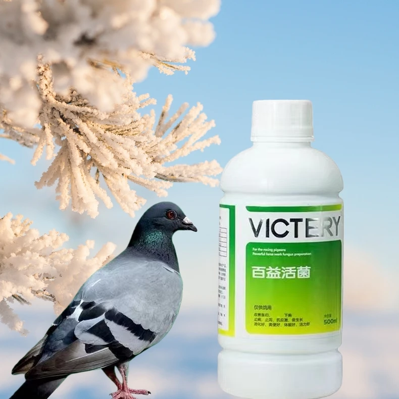 500 ml Magen-Darm-Probiotika, Tauben-Darmpflege, verhindert Durchfall, wässrige grüne Tropfen und Ingluvitis Image
