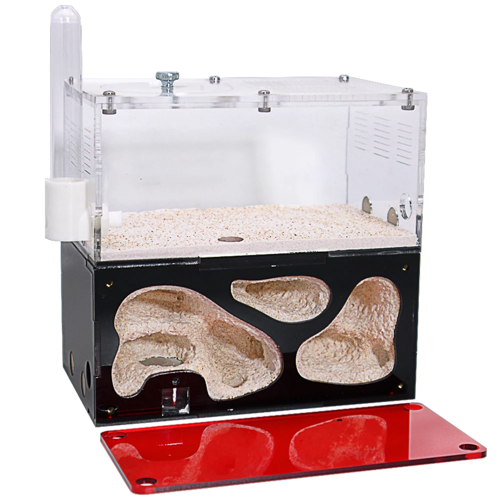 Acryl Ameisen farm unendlich Spleißen Ameisen nest Temperatur regelung Beton Insekten haus Kolonie Trinker Ameisen haufen Kit Zubehör Image