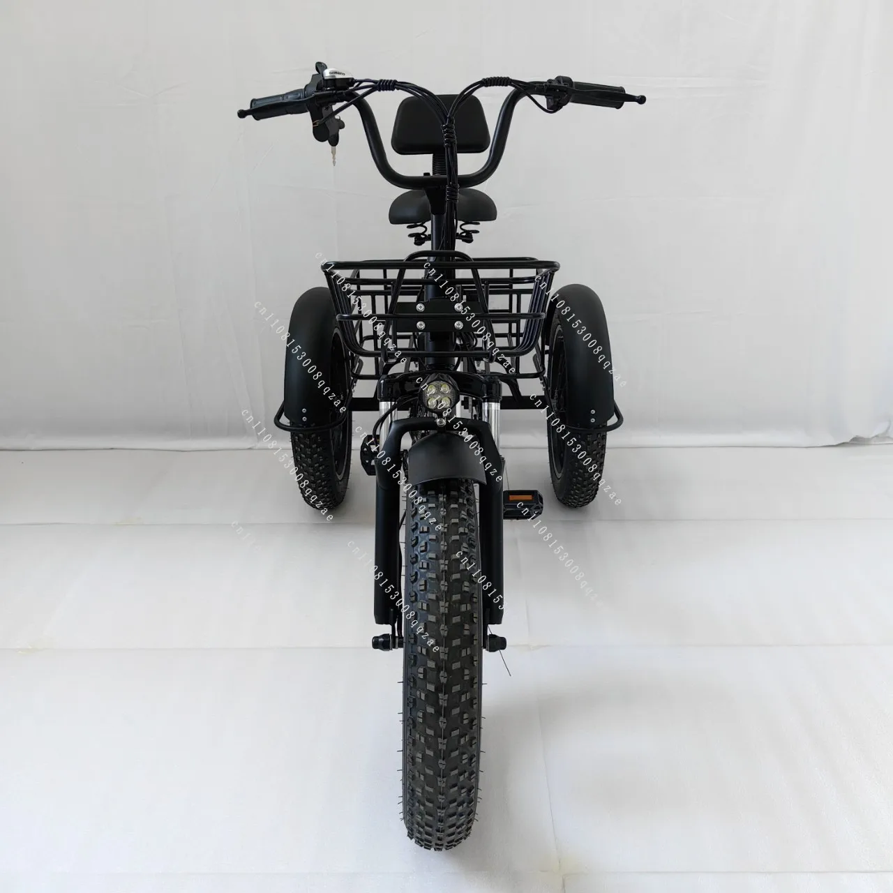 20 Zoll Fatbike Elektro-Dreirad mit Lithium-Batterie für Schnee und Gelände Image