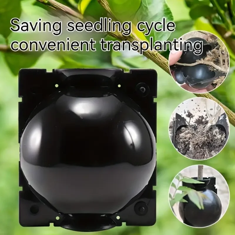 Garten Obstgarten Pflanzen Pfropfen Wurzelbox Wiederverwendbar Schneiden Garten Wurzelung Klon Vermehrung Ball Zucht Ausrüstung für Setzling Image