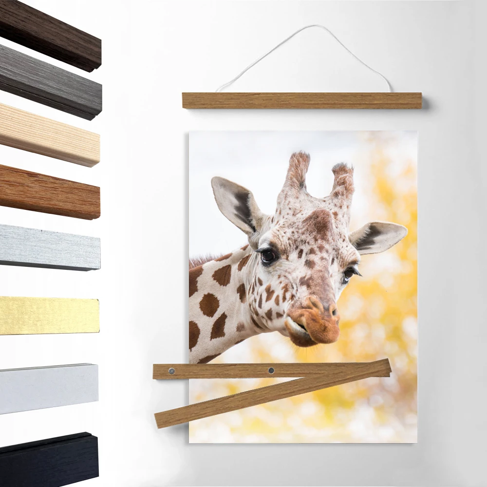 8 Farben Holz-Bilderrahmen Schwarz Weiß Leinwandrahmen 21 30 40 50cm Magnetischer Posterhalter Teak-Kiefernholz Rollbilderrahmen Image