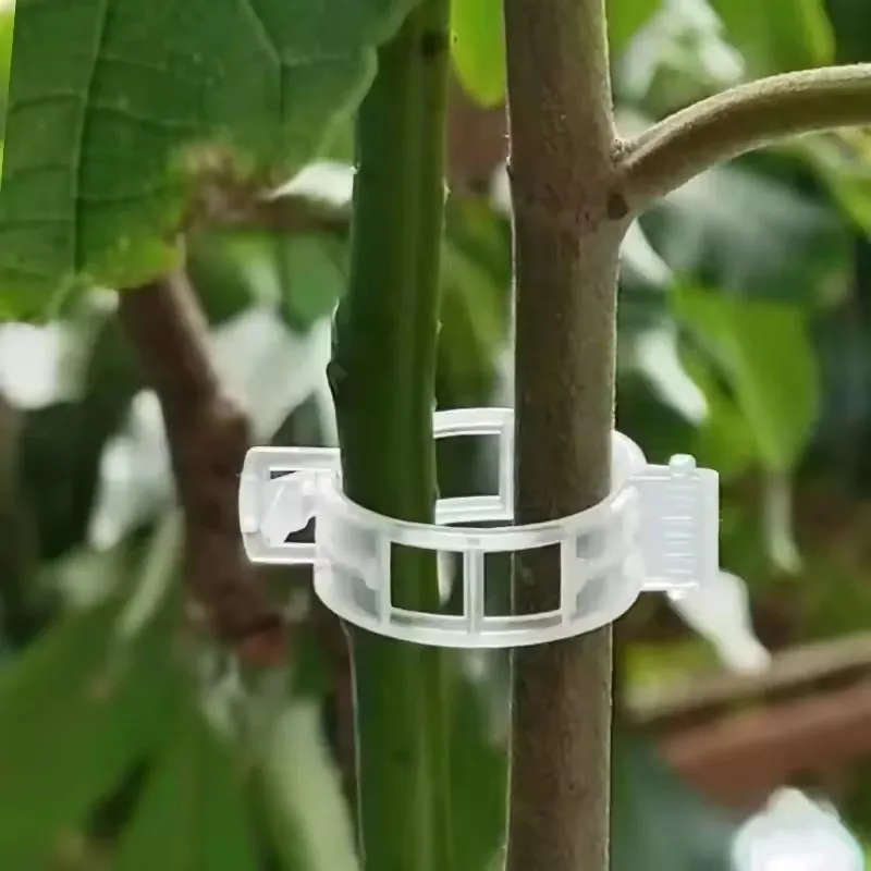 500/50 Stück Pflanzenstützclips Wiederverwendbare Kunststoff-Verbindungsclips für Ranken Tomaten- und Gemüsepflanzenhalter Gartenwerkzeug Image