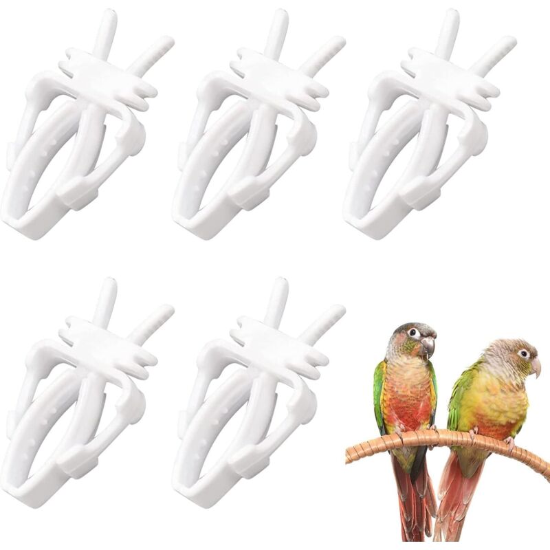 Clip Per Frutta Per Uccelli, Strumento Per Frutta Per Pappagalli, Porta Cibo Per Uccelli, Mangiatoia Per Gabbia Per Uccelli, Mangiatoia Per Uccelli, Mangiatoia Per Gabbia Per Uccelli, 5 Pezzi