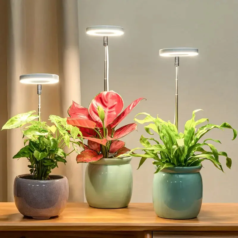 LED élèvent la lumière spectre complet plante lampe réglable Dimmable lampe de culture LED lampe hydroponique avec minuterie pour plantes d'intérieur lumière