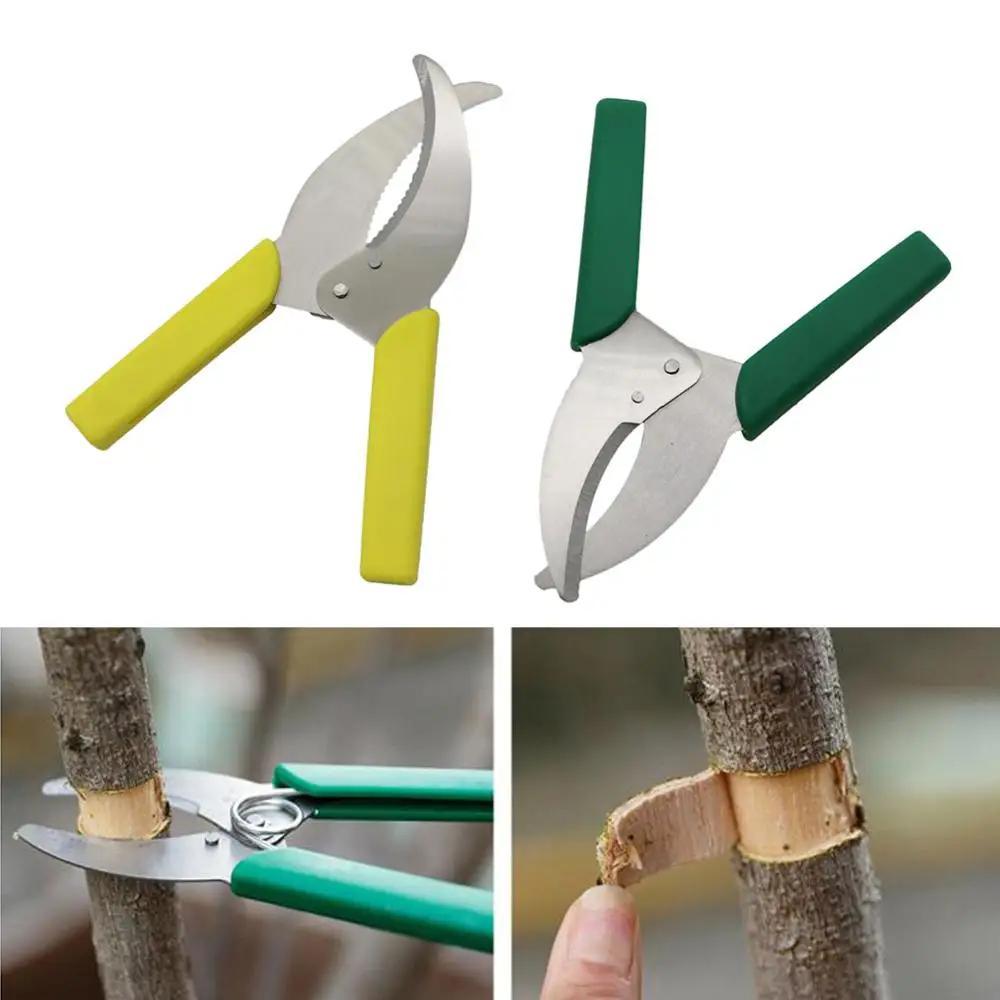 Couteau à éplucher tranchant, Branches d