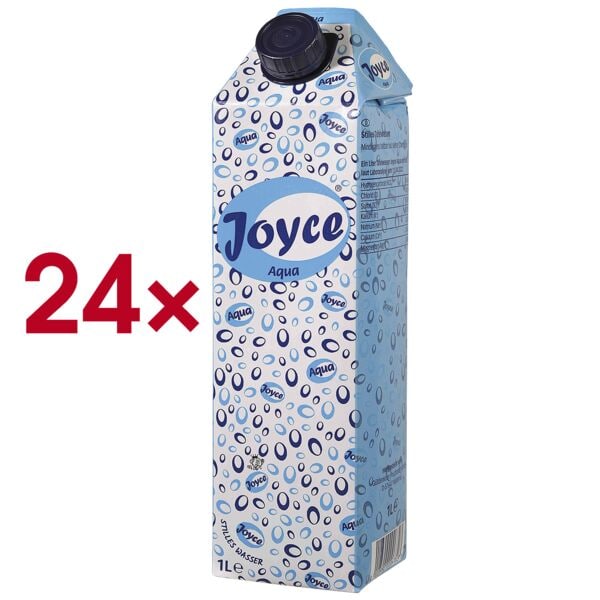 Joyce 2x 12er-Pack Tafelwasser »Aqua still« 1 L 24 Stück gesamt türkis
