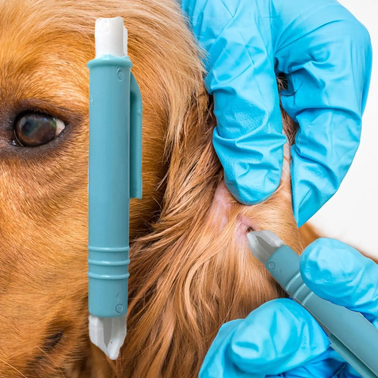 4-teiliges Zeckenentferner-Set für Hunde, Zeckenzangen, Haken, Kit zur einfachen Entfernung, Zubehör für Hunde, Katzen, Haustiere, Pferde, Tierpflege Image