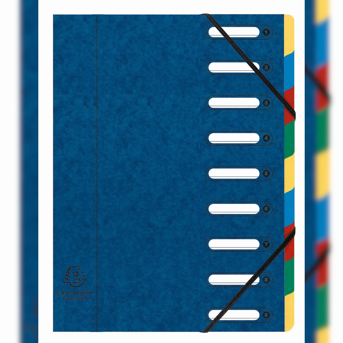 Exacompta 5309E 6x Ordnungsmappe HARMONIKA mit ausgestanzten Fenstern und Gummizug, aus Colorspan-Karton, 9 Fächer, für DIN A4 - Farben sortiert Image