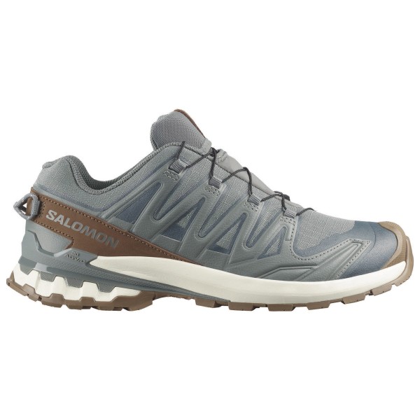 Salomon - XA Pro 3D V9 GORE-TEX Lifelong - Freizeitschuhe 46 | EU 46 grau