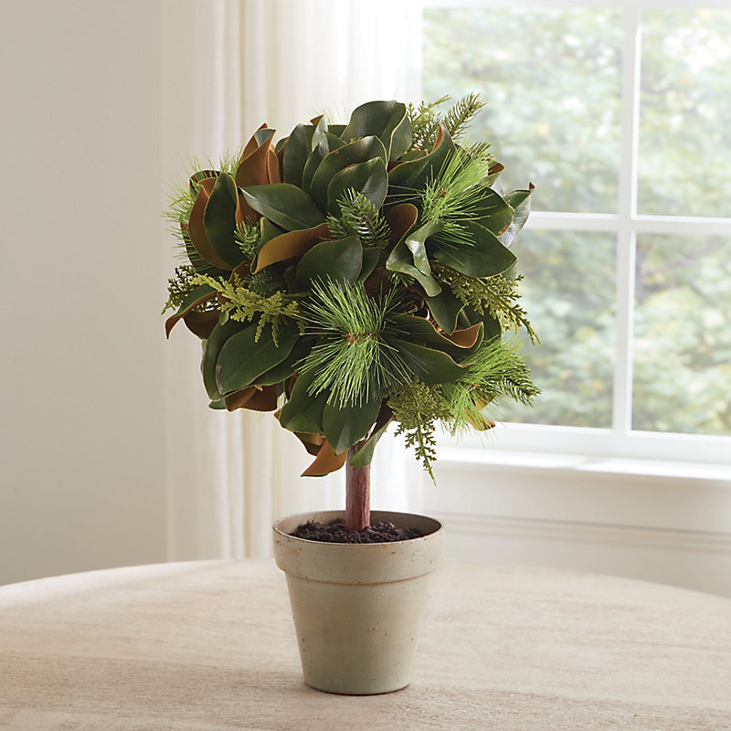 Pine & Magnolia Leaf Potted Topiary - Ballard Designs