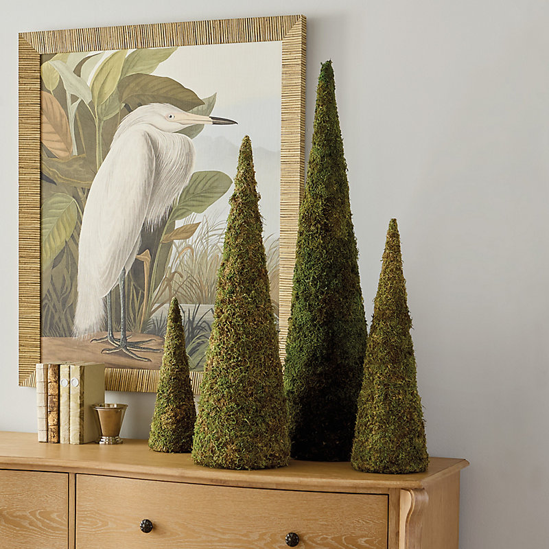 Preserved Moss Cone Tree - 40