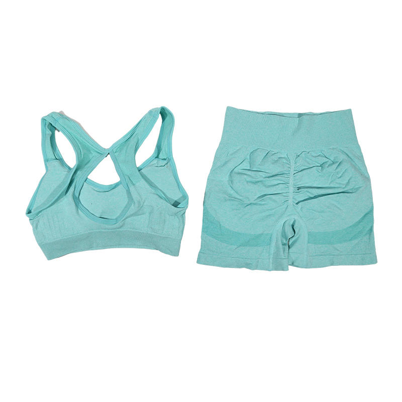 Women's Yoga Set Quick Dry Workout Set For Women With Fitness Vest & Sports Shorts blue m(50 60kg)
